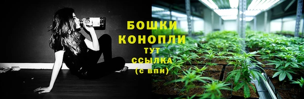 гидропоника Новозыбков