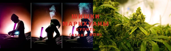 гидропоника Новозыбков