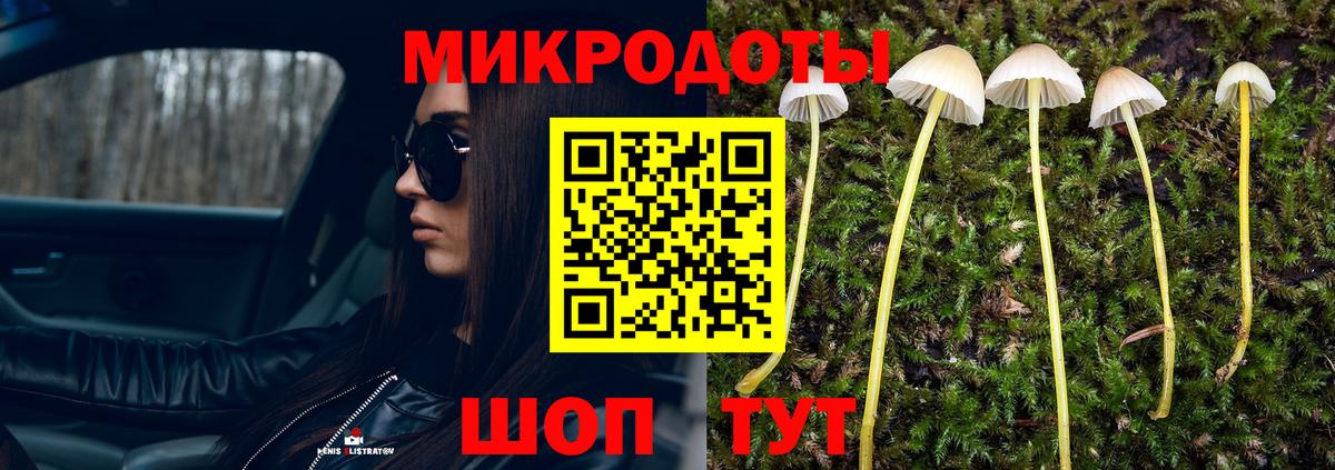 Галлюциногенные грибы MAGIC MUSHROOMS Тихорецк