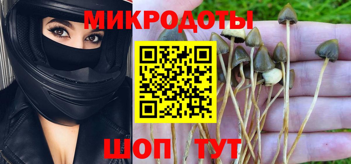 Галлюциногенные грибы ЛСД  Галлюциногенные грибы MAGIC MUSHROOMS  Тихорецк  Вход с VPN 